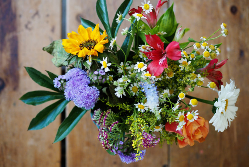 Kupujete kvety a neviete, aké vybrať? Čo tak inšpirovať sa mesiacom narodenia!